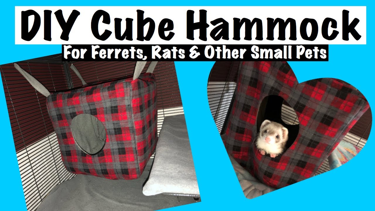 Detail Ferret Cube Hammock Nomer 3