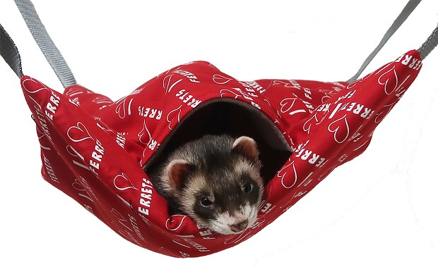 Detail Ferret Cube Hammock Nomer 26