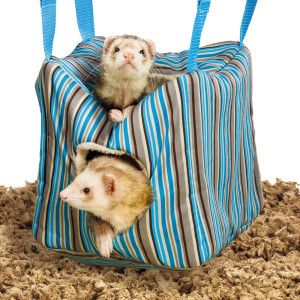 Detail Ferret Cube Hammock Nomer 30