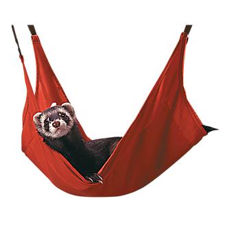 Detail Ferret Cube Hammock Nomer 45