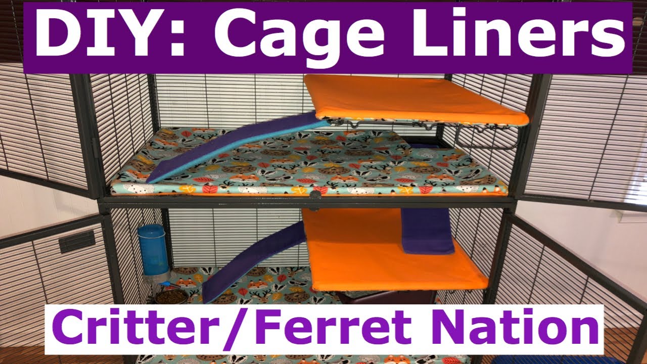 Detail Ferret Cube Hammock Nomer 52