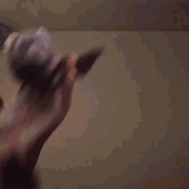 Detail Ferret Dancing Meme Nomer 3