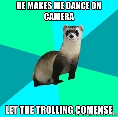 Detail Ferret Dancing Meme Nomer 51