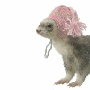 Detail Ferret Hats Nomer 20