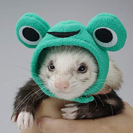 Detail Ferret Hats Nomer 4