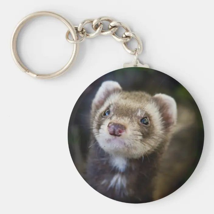 Detail Ferret Keychain Nomer 5