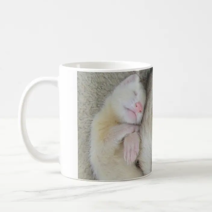 Detail Ferret Mug Nomer 28