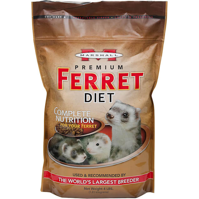 Detail Ferret Pic Nomer 30