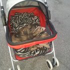 Detail Ferret Strollers Nomer 2