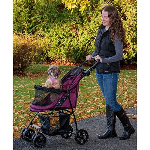 Detail Ferret Strollers Nomer 18