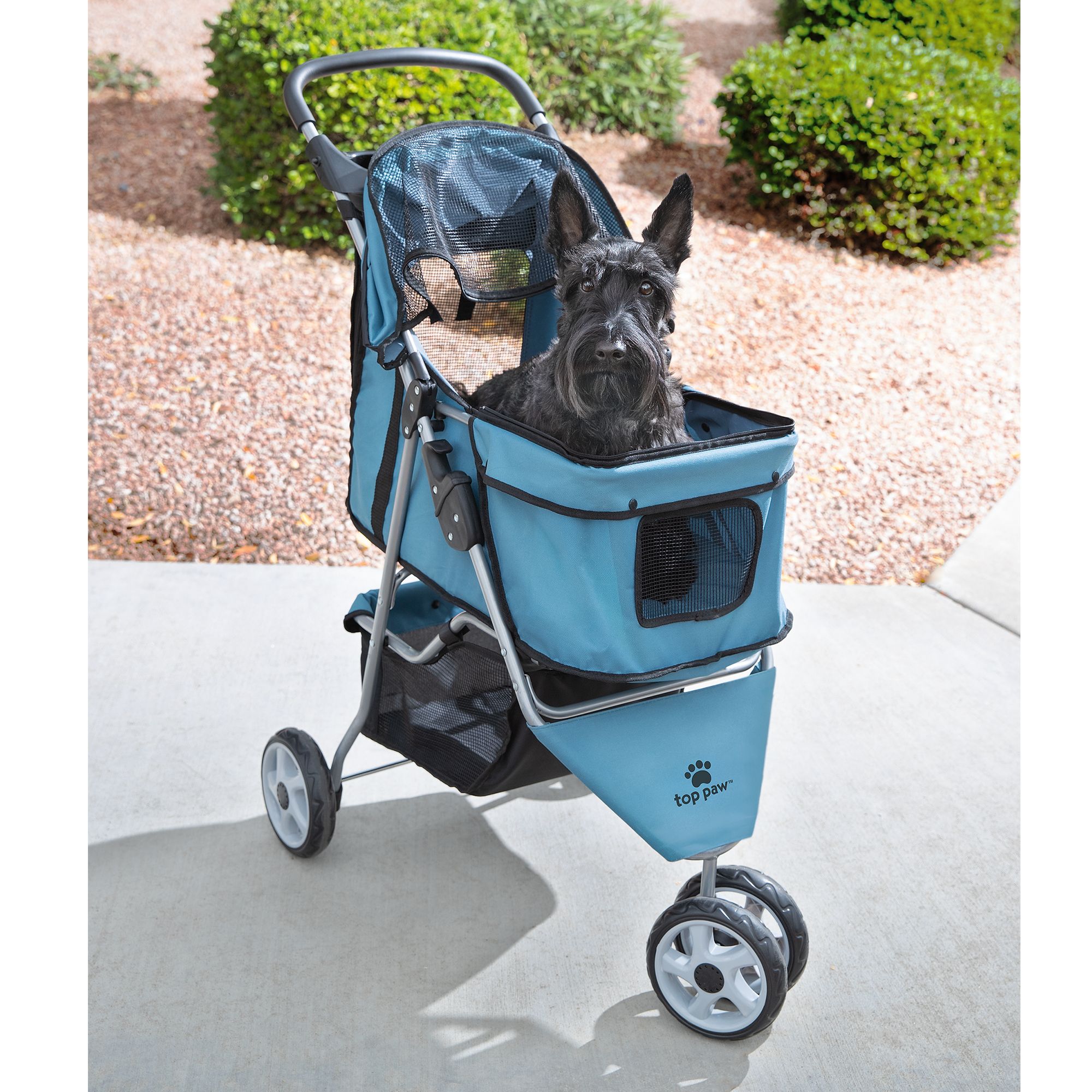 Detail Ferret Strollers Nomer 25