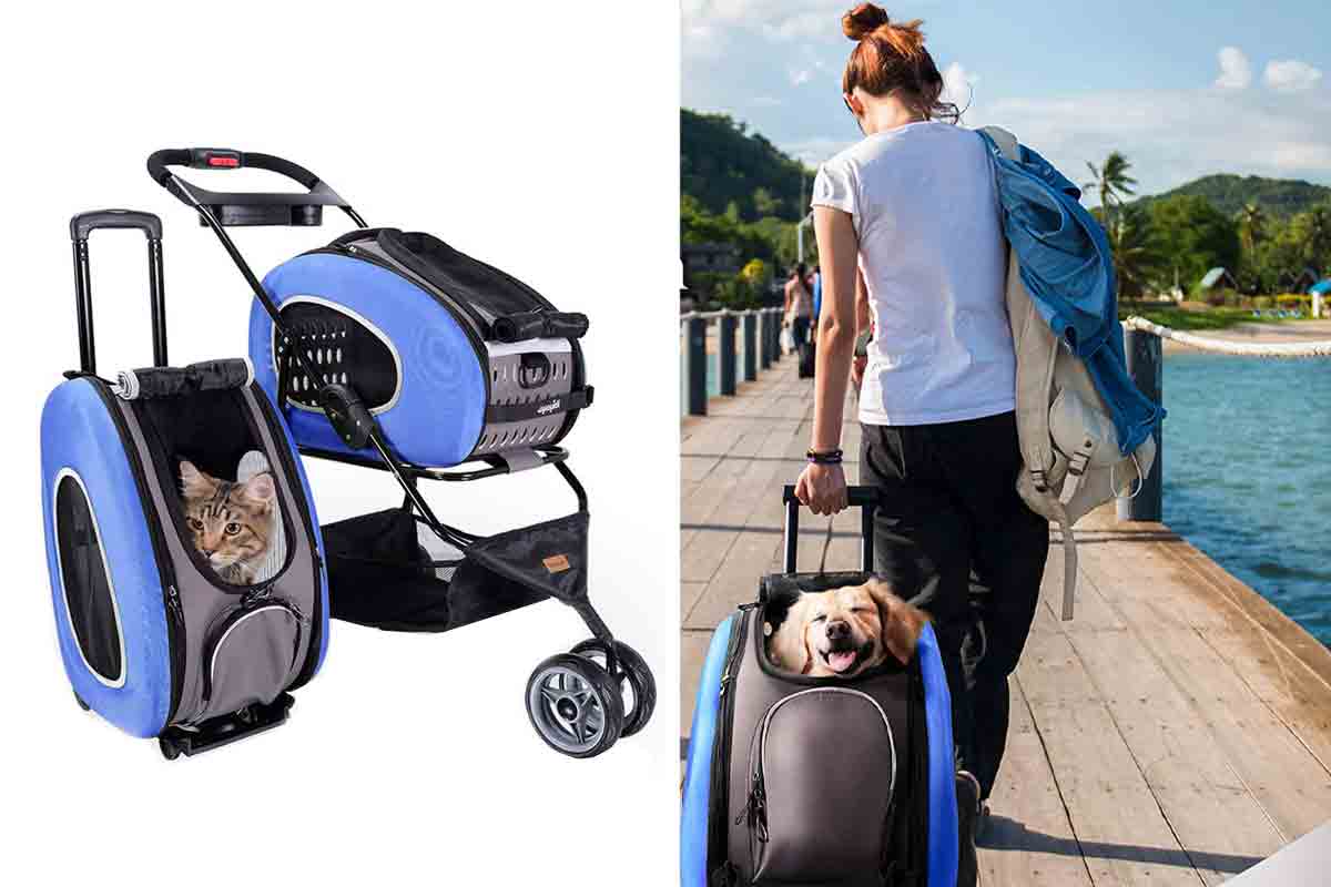 Detail Ferret Strollers Nomer 43