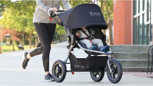 Detail Ferret Strollers Nomer 46