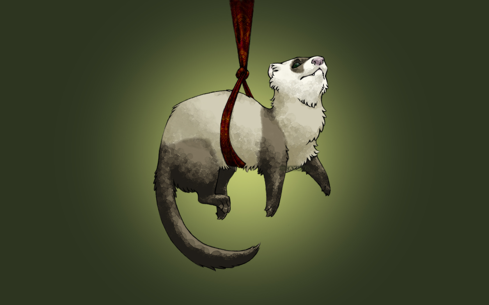 Detail Ferret Wallpapers Nomer 23