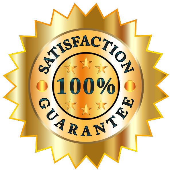 Satisfaction 100 - KibrisPDR