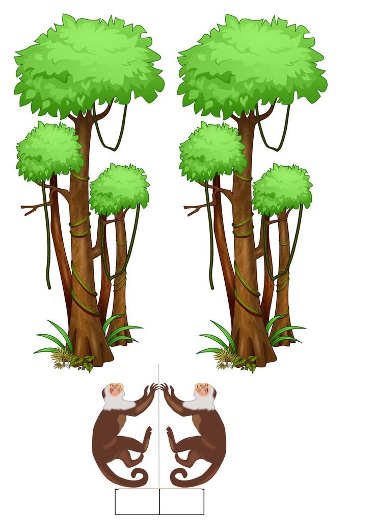 Detail Baum Affe Nomer 18