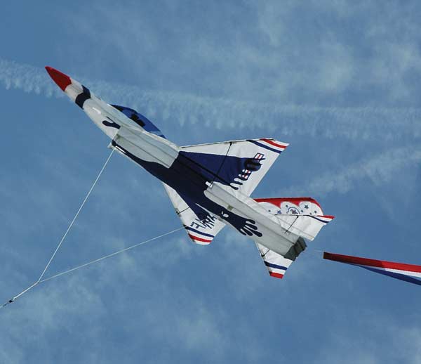 Detail Fighter Jet Kite Nomer 17