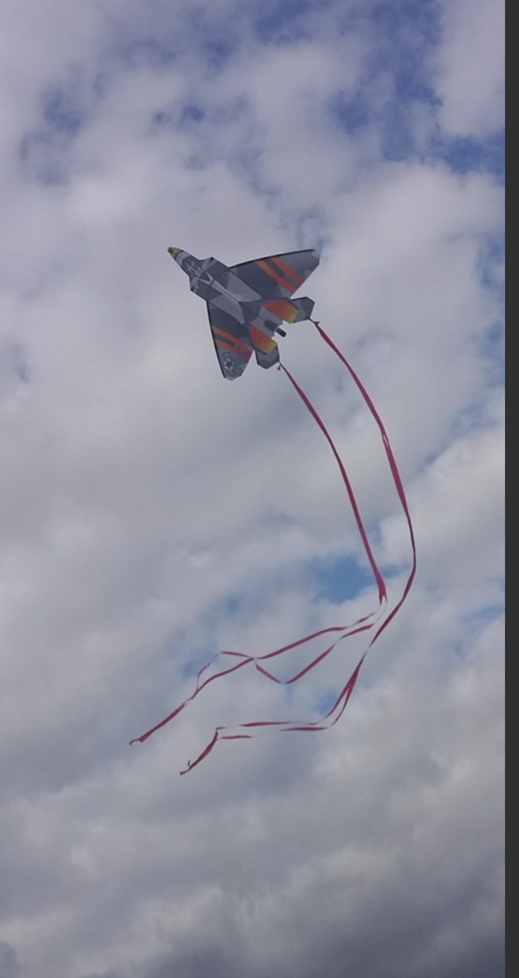 Detail Fighter Jet Kite Nomer 10