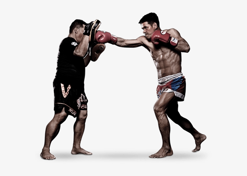 Detail Fighter Png Nomer 50