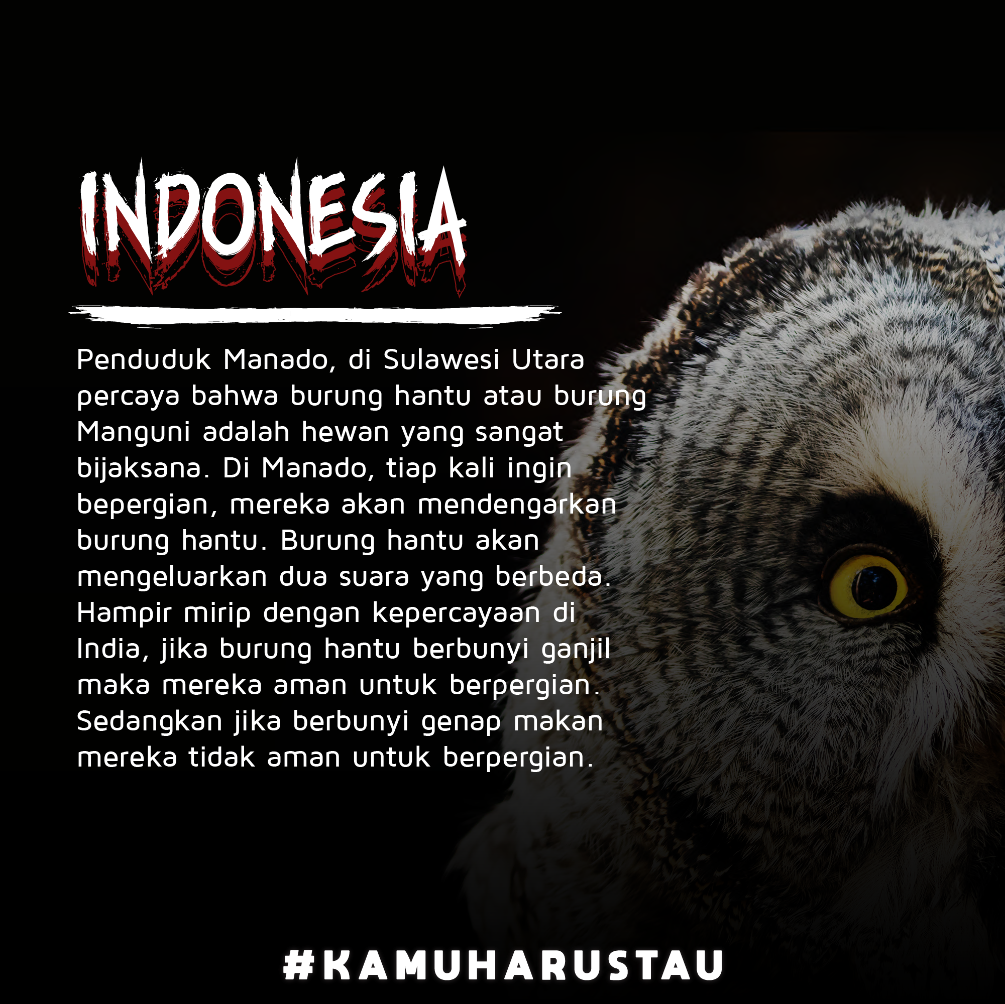 Detail Filosofi Burung Hantu Nomer 2