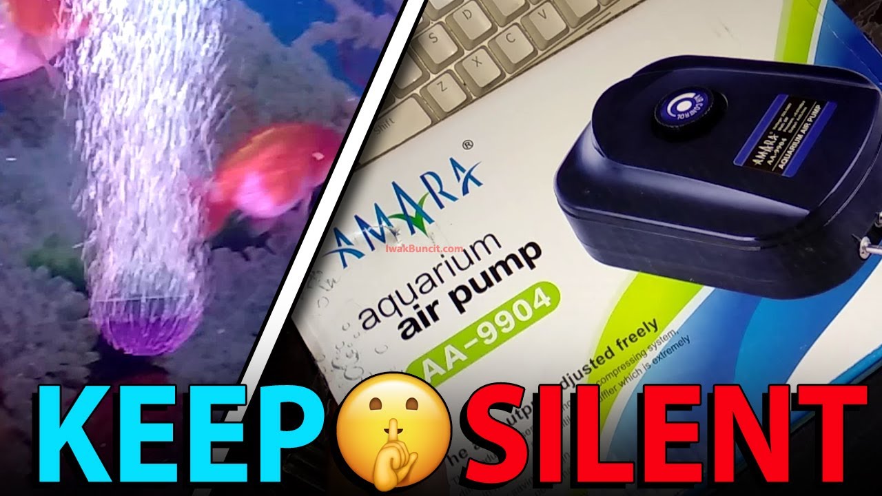 Detail Filter Aquarium Berisik Nomer 12