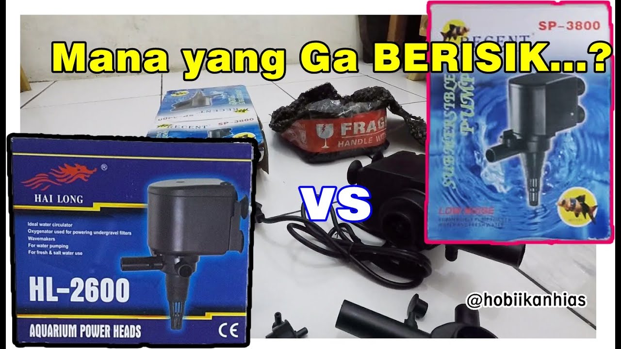 Detail Filter Aquarium Berisik Nomer 24