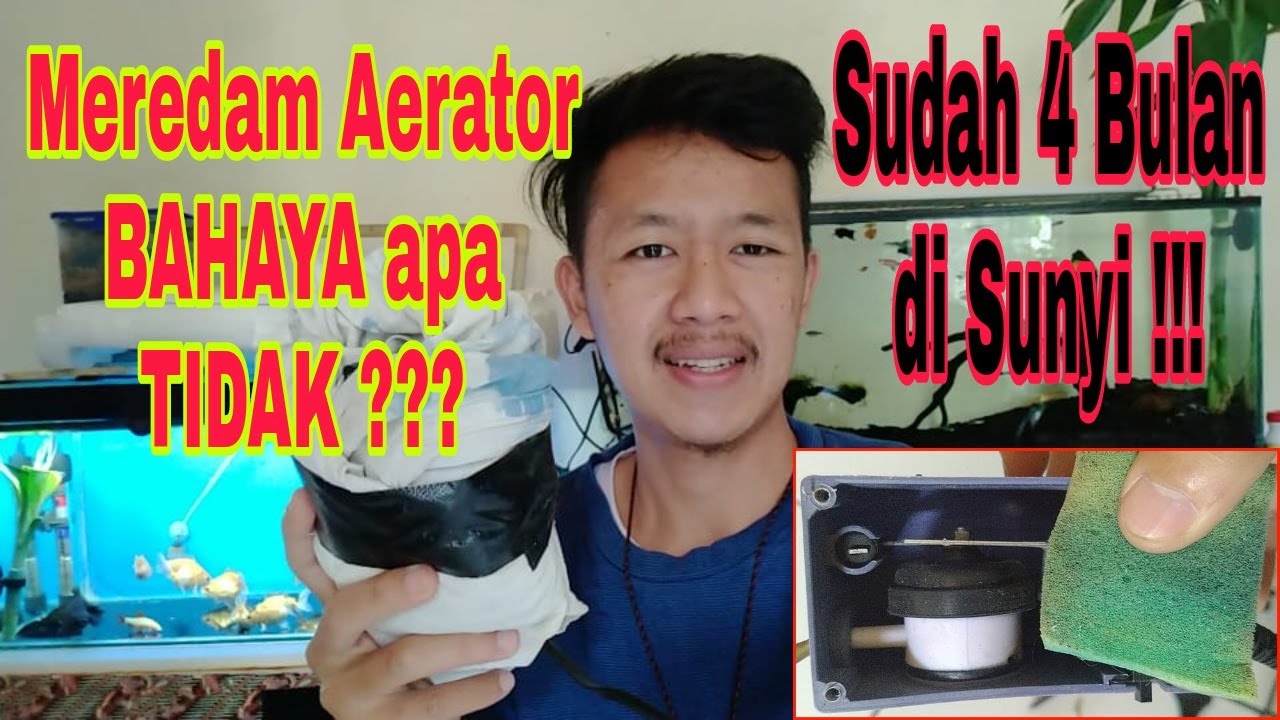 Detail Filter Aquarium Berisik Nomer 51