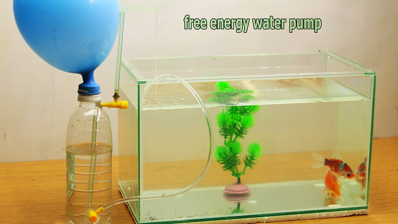 Filter Aquarium Tanpa Listrik - KibrisPDR