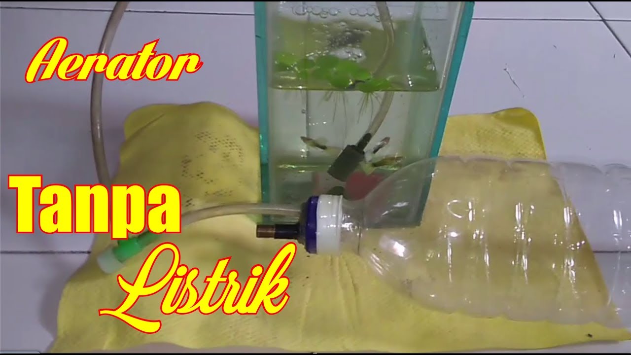 Detail Filter Aquarium Tanpa Listrik Nomer 23