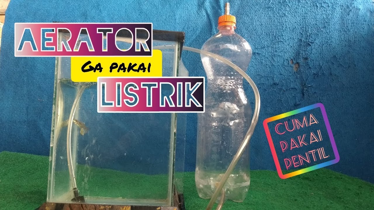 Detail Filter Aquarium Tanpa Listrik Nomer 57