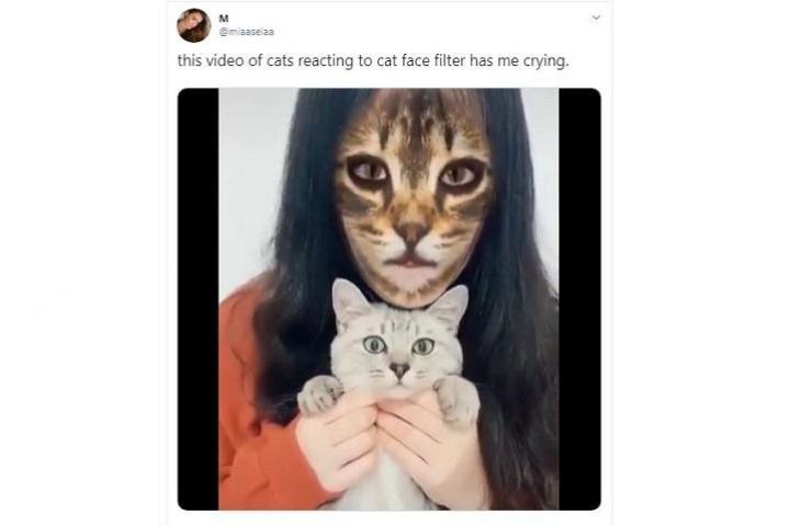 Filter Kucing Snapchat - KibrisPDR
