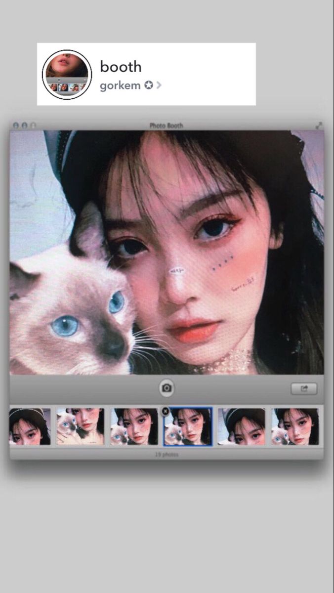 Detail Filter Kucing Snapchat Nomer 27