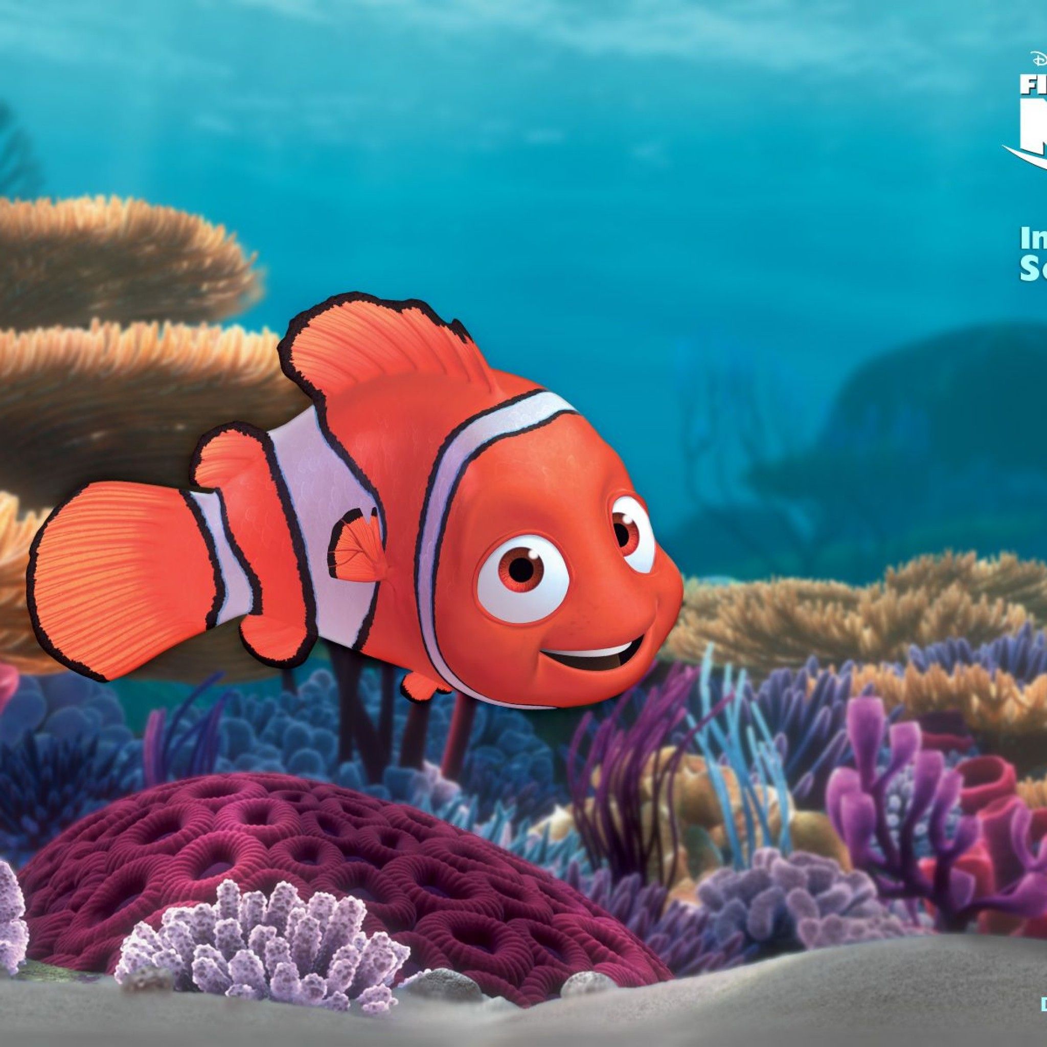 Detail Finding Nemo Hd Nomer 22