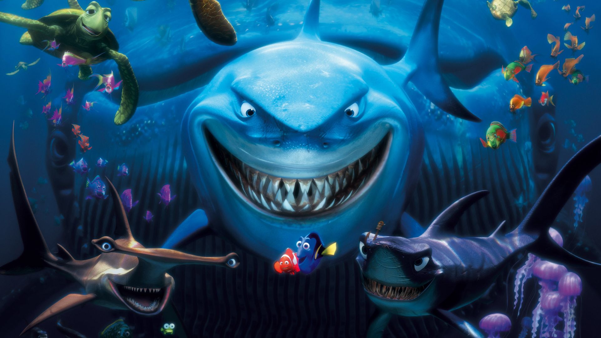 Detail Finding Nemo Hd Nomer 3