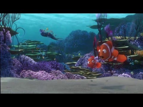 Detail Finding Nemo Hd Nomer 42