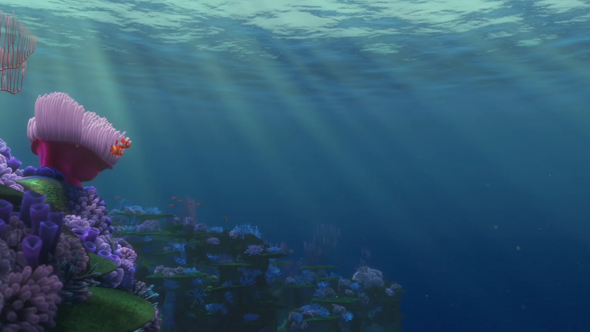 Detail Finding Nemo Wallpaper Nomer 38