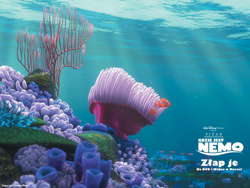 Detail Finding Nemo Wallpaper Nomer 42