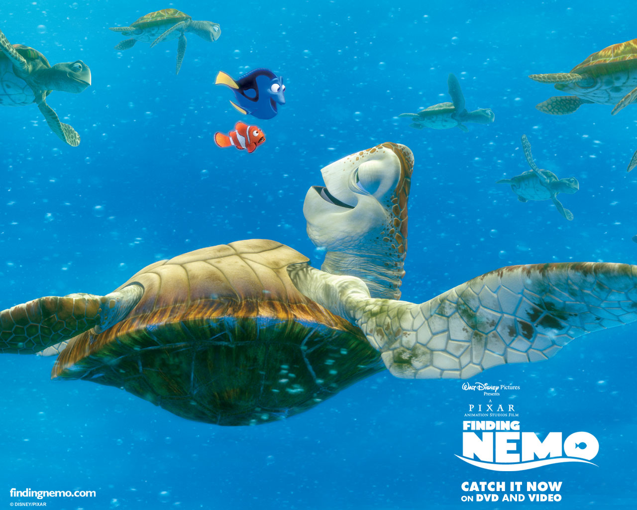 Detail Finding Nemo Wallpaper Hd Nomer 36