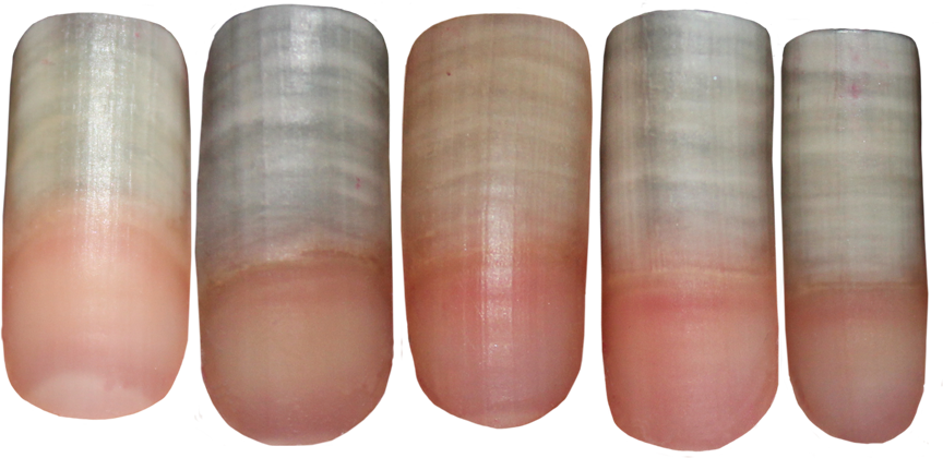 Detail Finger Nail Png Nomer 12