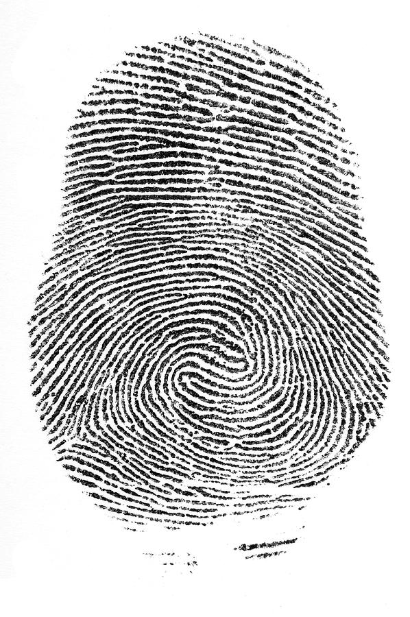 Detail Finger Print Images Nomer 20