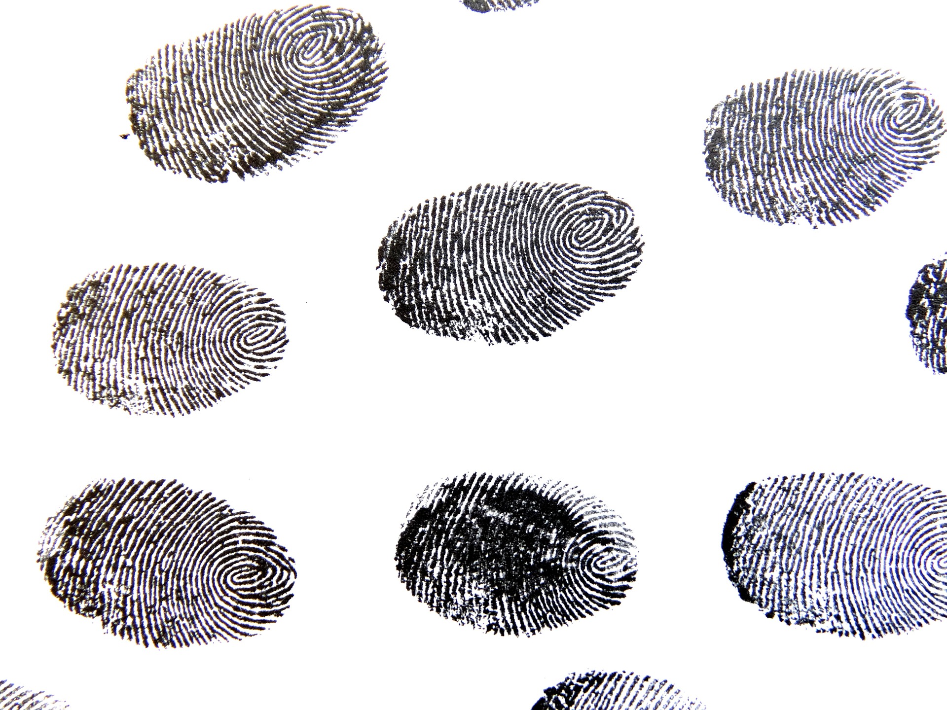 Detail Finger Print Images Nomer 23