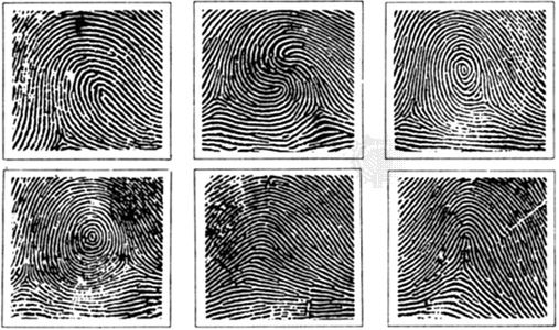 Detail Finger Print Images Nomer 28