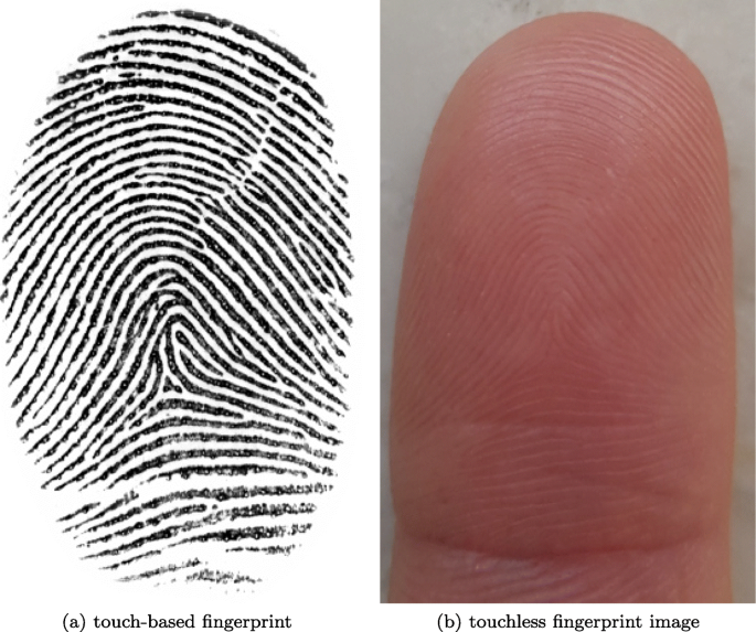 Detail Finger Print Images Nomer 29