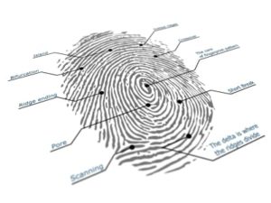 Detail Finger Print Images Nomer 32