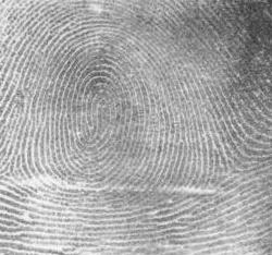 Detail Finger Print Images Nomer 36