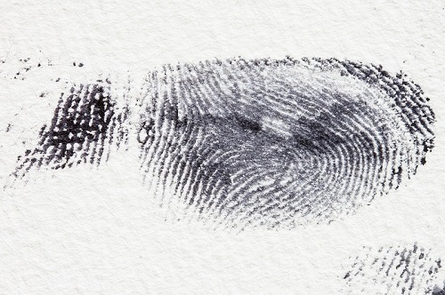 Detail Finger Print Images Nomer 52