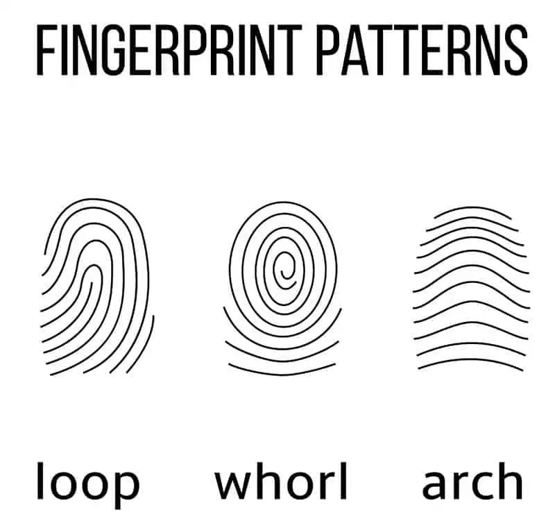 Detail Finger Print Pic Nomer 39