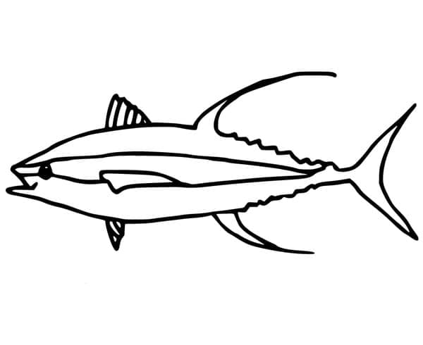 Detail Fisch Umriss Zum Ausdrucken Nomer 13