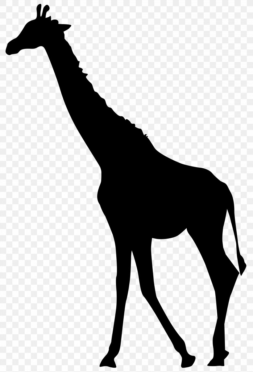 Detail Giraffe Png Nomer 16