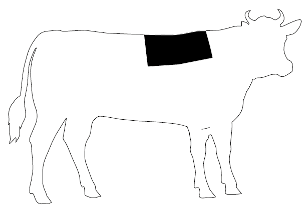 Detail Kobe Rind Kuh Nomer 17